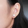 "ARENA" Daily wear single moissanite Diamond stud for women